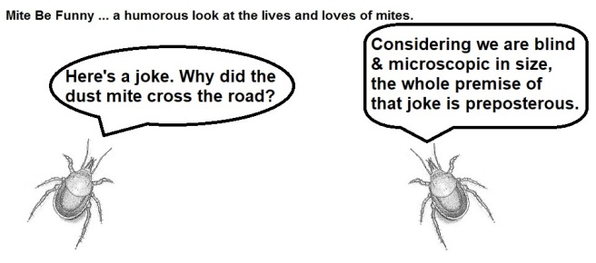 Mite Be Funny #138a Riddle